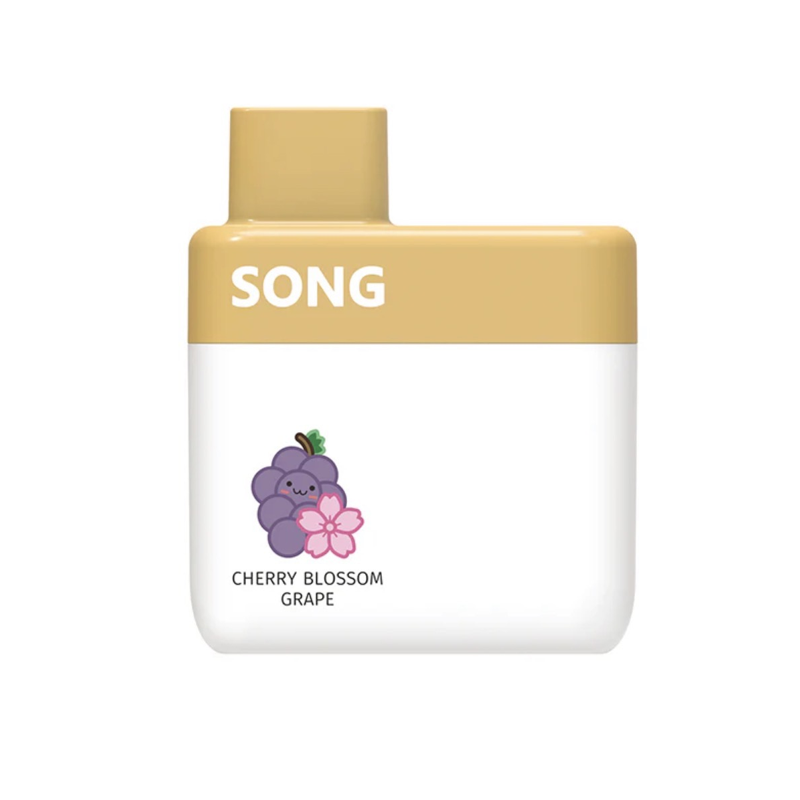 SONG 600 HITS